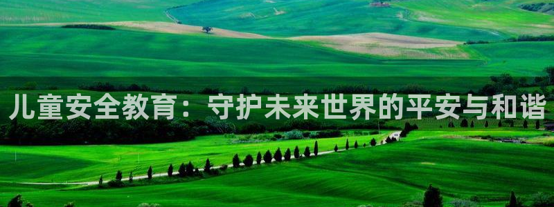 安信122853179Z空间
