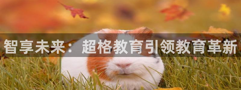 安信可12e12f