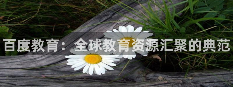 安信可f12