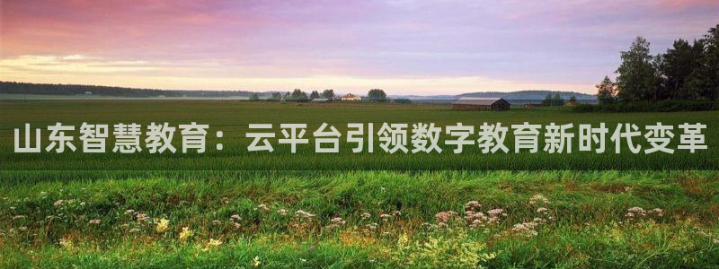 安信卓越12月