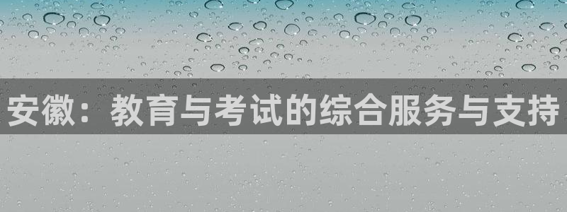 安信cwa12